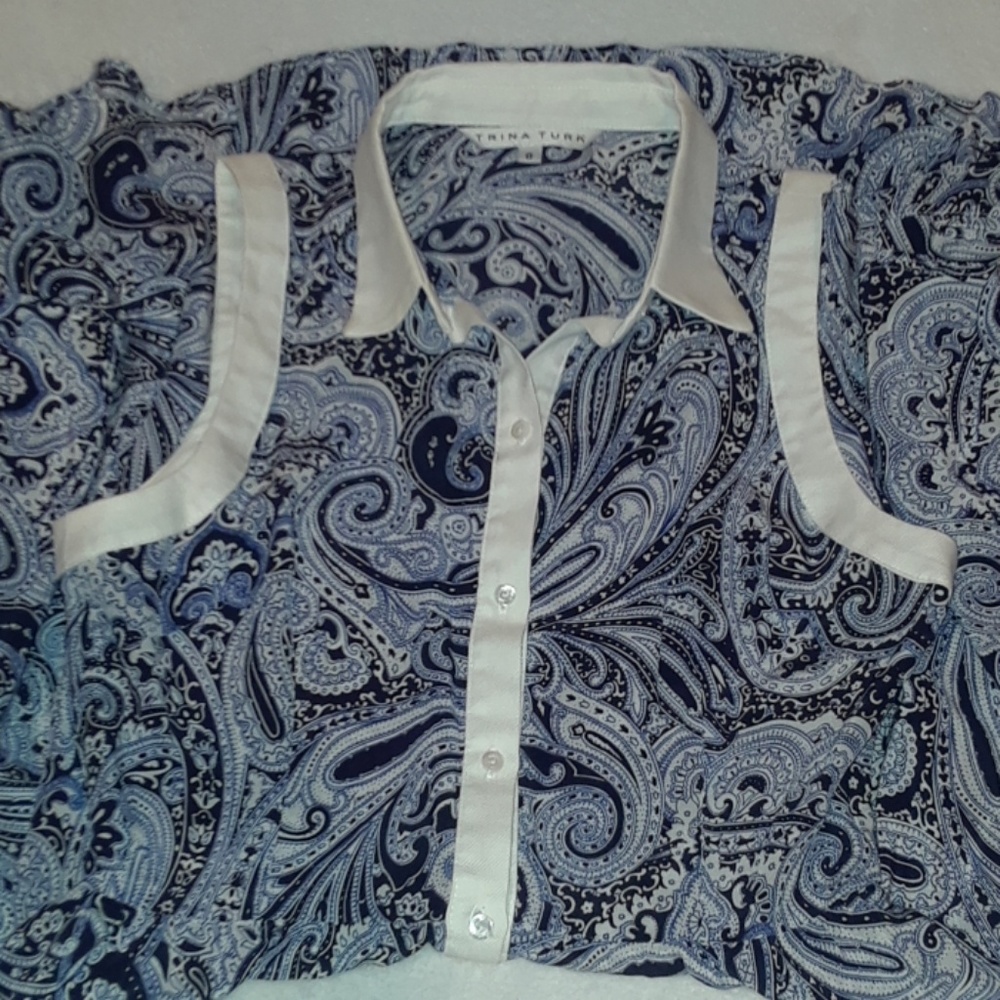 Trina Turk Blue Paisley Silk Dress - Picture 8 of 8